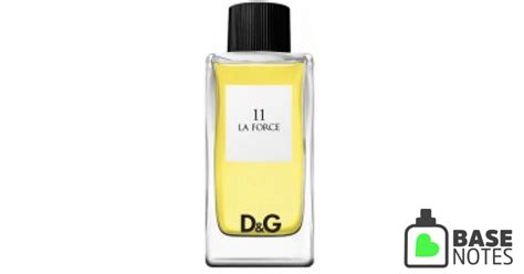 D&G La Force 11 by Dolce & Gabbana– Basenotes